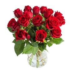 Bouquet of 15 red roses